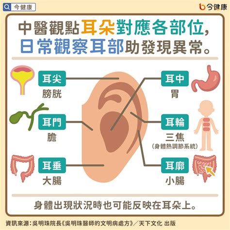 耳朵長痘痘面相|從耳朵看面相｜5點耳朵形狀及特徵，一窺性格與運